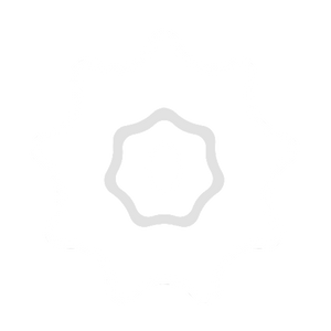 TRAPICMOTION LLC